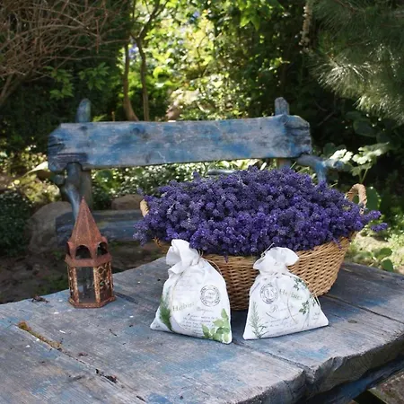 Dorf Stille - Huetten In Den Gaerten Magra - Lavendel Prázdninový dům Zakrzewo (Slawno)