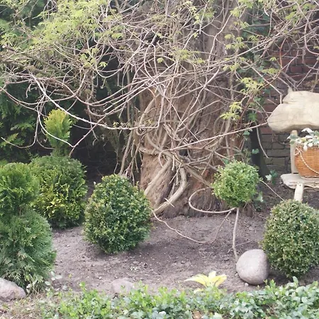 Dorf Stille - Huetten In Den Gaerten Magra - Lavendel Prázdninový dům *