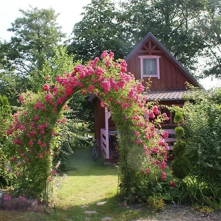 Prázdninový dům Dorf Stille - Huetten In Den Gaerten Magra - Lavendel Zakrzewo (Slawno)