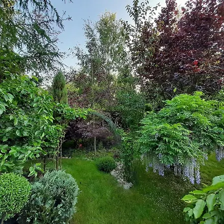 Dorf Stille - Huetten In Den Gaerten Magra - Lavendel * Zakrzewo (Slawno)