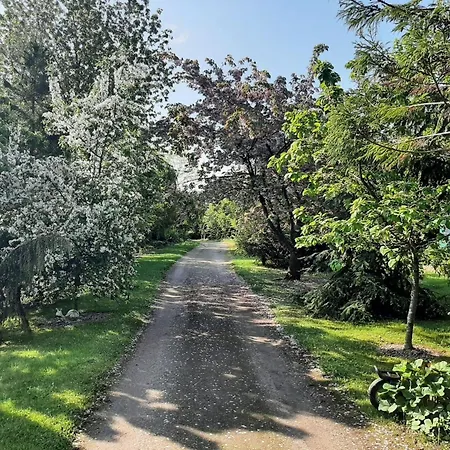 Dorf Stille - Huetten In Den Gaerten Magra - Lavendel